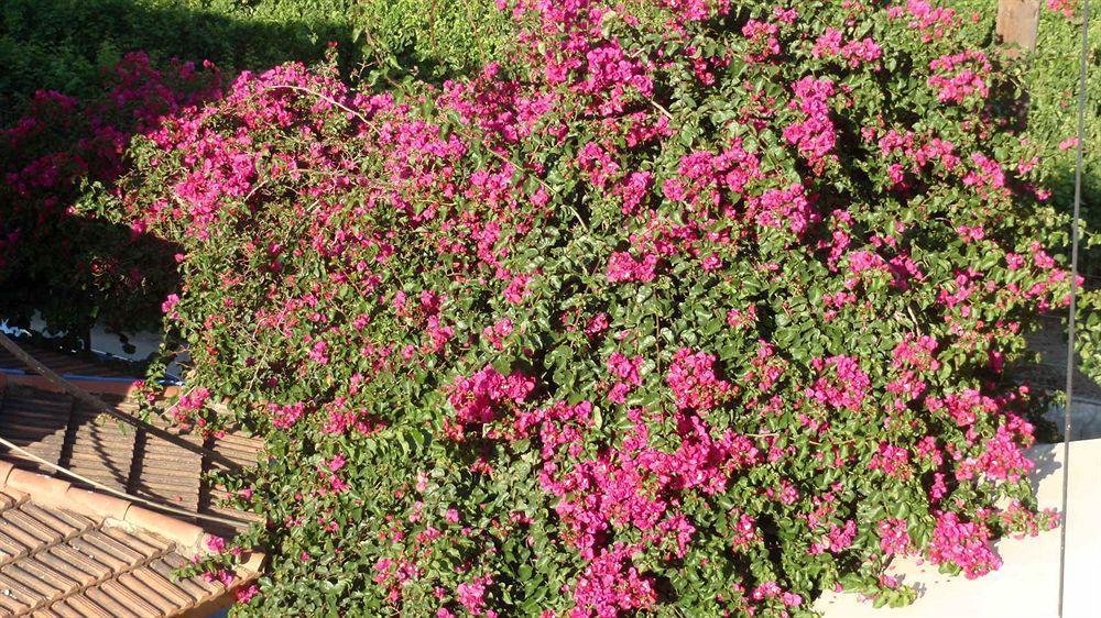 Apartamento Amaril Platanes  Exterior foto